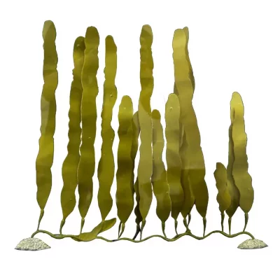 AQUA DELLA D&eacute;coration d'aquarium plante artificielle  Caulerpa