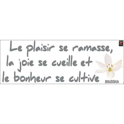 PLAGE D&eacute;coration murale adh&eacute;sive 24*68 Le Bonheur Se Cultive, Polyvinyle, Gris, 24 x 0.1 x 68 cm