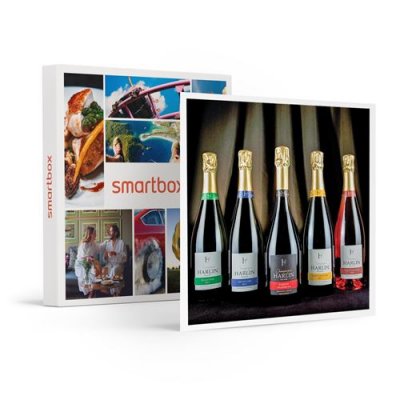  D&eacute;gustation de champagne et visite de domaine dans la Marne - - Coffret Cadeau Gastronomie