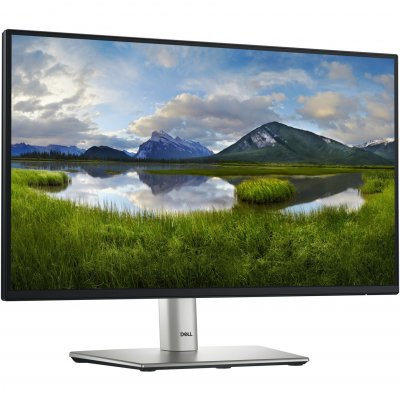 DELL  22 monitor -P2225H 