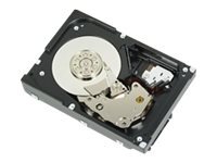 DELL  - disque dur - 300 Go - SAS 6Gb/s