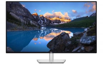DELL  UltraSharp U4323QE 109,2 cm (43"") 3840 x 2160 pixels -U4323QE