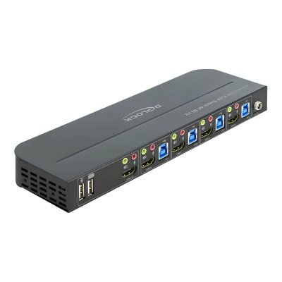 DELOCK  11483 commutateur &eacute;cran, Clavier et Souris Noir