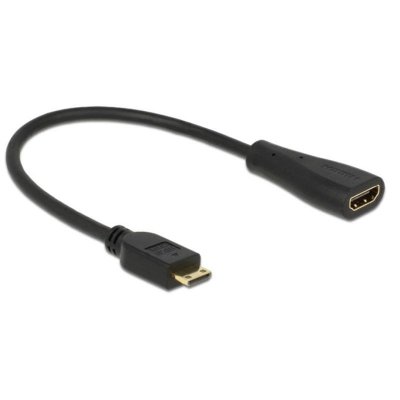 DELOCK  65650 Adaptateur HDMI avec Ethernet Mini-C vers A Noir