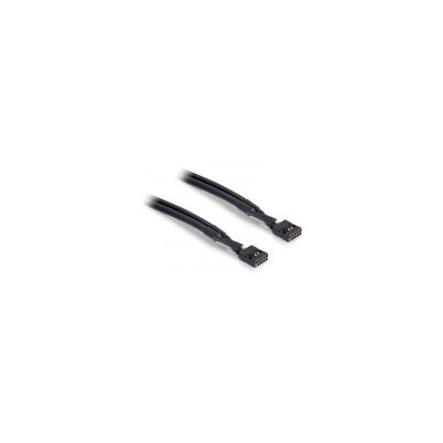 DELOCK  - C&acirc;ble USB - connecteur USB 10 broches (F) pour connecteur USB 10 broches (F) - 50 cm