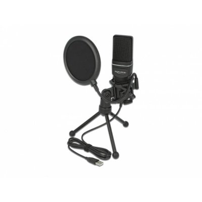 DELOCK  : Microphone professionnel USB &agrave; condensateur 66331