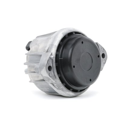 DELPHI Support moteur BMW TEM099 22116768799 Silent bloc moteur