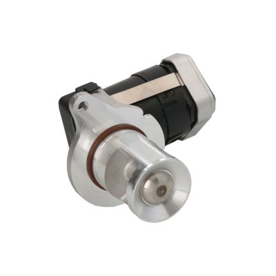 DELPHI  Vanne EGR / AGR EG10428-12B1