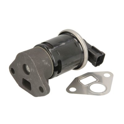 DELPHI  Vanne EGR / AGR EG10445-12B1