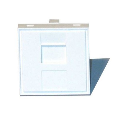DEXLAN  Plastron 45X45 droit pour 1 port RJ45