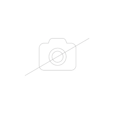 NEFF Dhz7305 filtre de charbon actif pour hotte bosch b/s/h