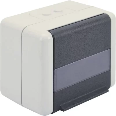 GENERIQUE Digitus Professional - Prise pour montage en surface - blanc alpin, anthracite - 2 ports