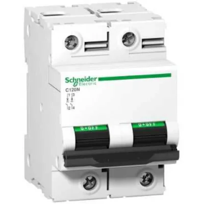 SCHNEIDER ELECTRIC Disjoncteur C120N 2P 125 A, courbe C, 10 kA - A9N18363