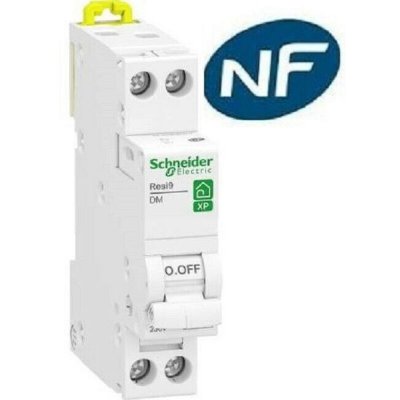 Disjoncteur courbe D phase + neutre Resi9 xp SCHNEIDER ELECTRIC 10 A