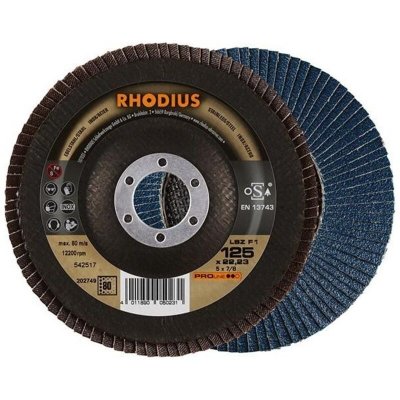 RHODIUS Disques &agrave; lamelles 125mm pour &eacute;bardage  lsz-f1 125 durchm. 80