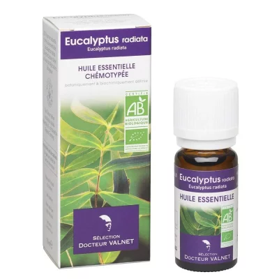 DOCTEUR VALNET Huile essentielle d&acute;eucalyptus radiata bio flacon 10ml
