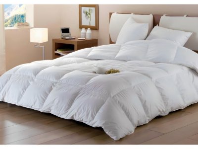 DODO  COUETTE BAFFIN 15% DUVET DE CANARD - CHAUDE - 240 x 260 cm