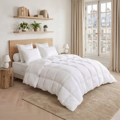DODO  - Couette Thermoduv temperee - 70% Duvet d'Oie - 220/240 Blanc