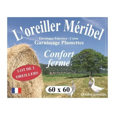 DODO  Lot de 2 Oreillers MERIBEL Plumettes 60x60cm