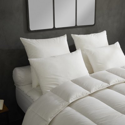 DODO  - Lot de 2 Oreillers Micro Douceur - Moelleux 60 x 60 cm Blanc