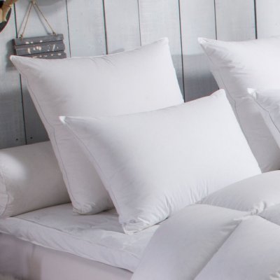 DODO  - Oreiller 70% Duvet d'Oie medium - 50/70 Blanc