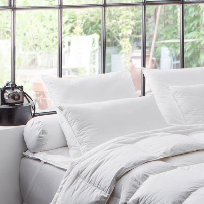 DODO  Oreiller Naturel 90% Duvet De Canard - 50 X 75 Cm