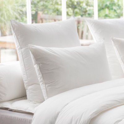 DODO  - Oreiller Thermoduv 70% Duvet d'Oie medium - 50/70 Blanc
