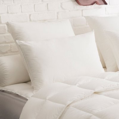 DODO  Oreiller Ultraconfort Medium - 65 X 65 Cm