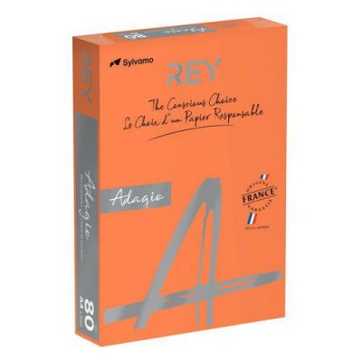 REY Dohe 30216&nbsp;Lot de 500&nbsp;feuilles A4 80&nbsp;g Orange intense