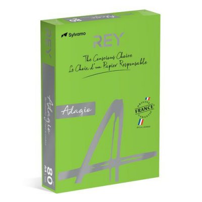 REY Dohe 30218&nbsp;Lot de 500&nbsp;Feuilles A4 80&nbsp;g Vert intense