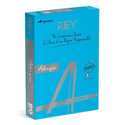 REY Dohe 30219&nbsp;Lot de 500&nbsp;feuilles A4 80&nbsp;g Bleu intense