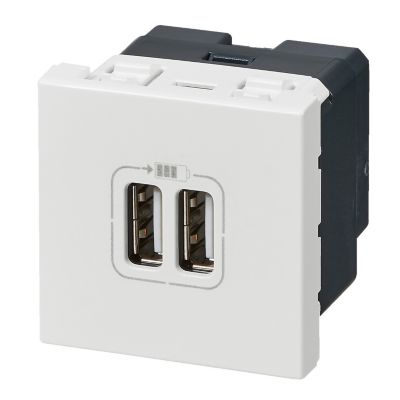 LEGRAND Double chargeur usb Type-A 3A 15W 2 modules complet Mosaic - Blanc