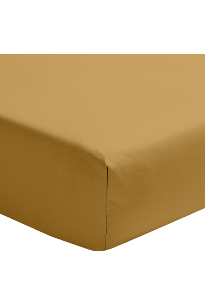 ESSIX Drap housse en percale de coton 80 fils 160x200