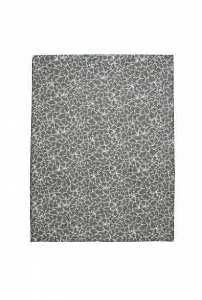 ESSIX Drap Plat imprim&eacute; en Percale de Coton, Osmose, 270 x 300 cm, 