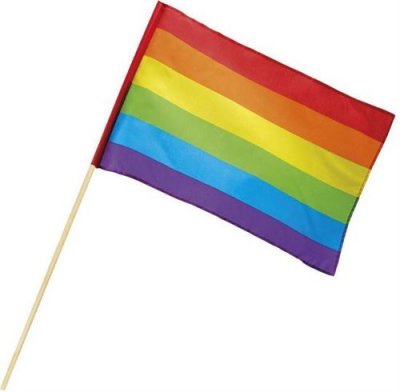 BOLAND BV Drapeau arc-en-ciel multicolore (45 x 30 cm) avec tige (76 cm)