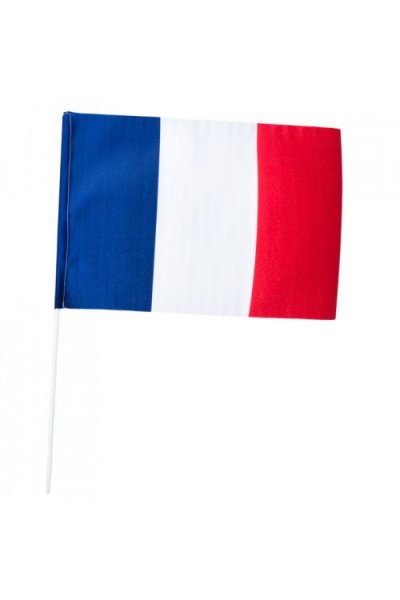TH3 PARTY Drapeau France Tissu 30x40cm Hampe 60cm - Tricolore