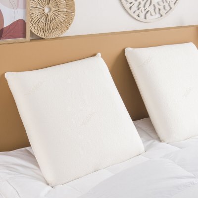 DUNLOPILLO    Oreiller Blanc 45 x 70 cm - ORPVEN070045DPO1