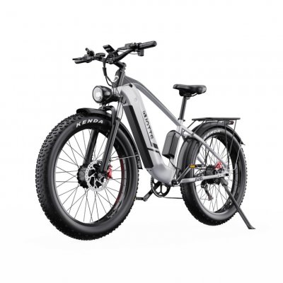 DUOTTS  f26 v&eacute;lo &eacute;lectrique - moteurs 750w*2 batterie 48v 20ah non pliable - blanc argent&eacute; 