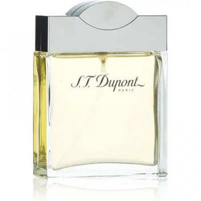 DUPONT Pour Homme - Eau de Toilette 100ml