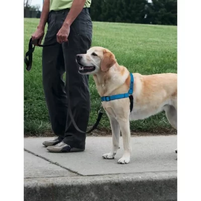PETSAFE Easy Walk Harnais Deluxe L - Bleu Oc&eacute;an - Pour Chien