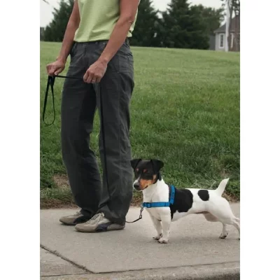 GENERIQUE EASY WALK Harnais Deluxe S - Bleu Oc&eacute;an - Pour chien