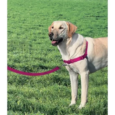 PETSAFE Easy Walk Harnais L - Framboise - Pour Chien