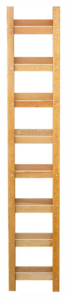 OUTIFRANCE ECHELLE DE TOIT PLIANTE 2X 2M 