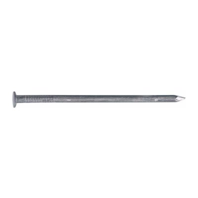 ECOLANDS  - Pointe acier t&ecirc;te plate l. x &oslash; (mm) 35 x 2 Contenance (kg) 1