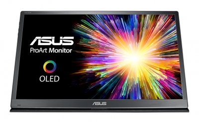 ASUS Ecran  ProArt PQ22UC 21,5"" 4K Noir