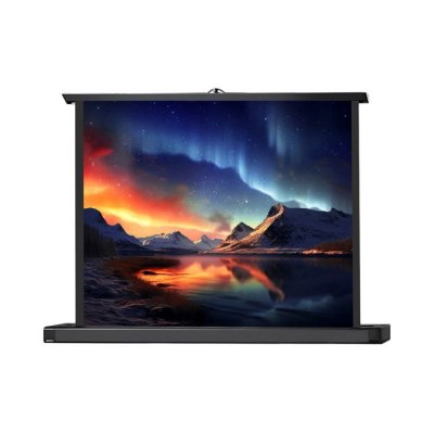 CELEXON Ecran de projection  Mini PRO 81 x 61cm