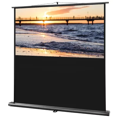 CELEXON Ecran de projection  Ultramobile PRO 120 x 75