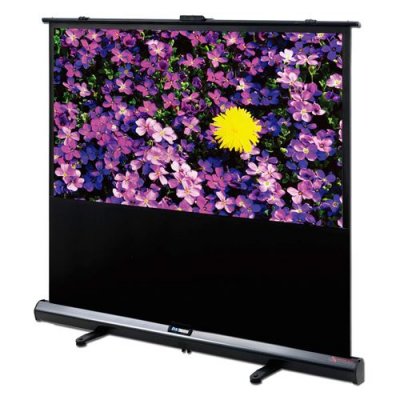 DELUXX Ecran de projection mobile Expert Portable Self-Stand-X 4:3 Blanc Mat Polaro 171 x 128