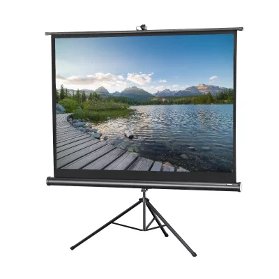 CELEXON Ecran de projection sur pied  Economy 244 x 183 cm 