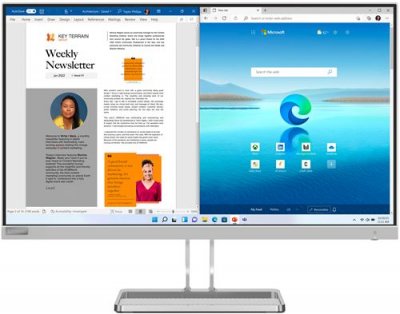 LENOVO Ecran PC  L27i-40 27"" Full HD Gris